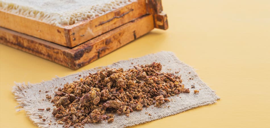 Propolis